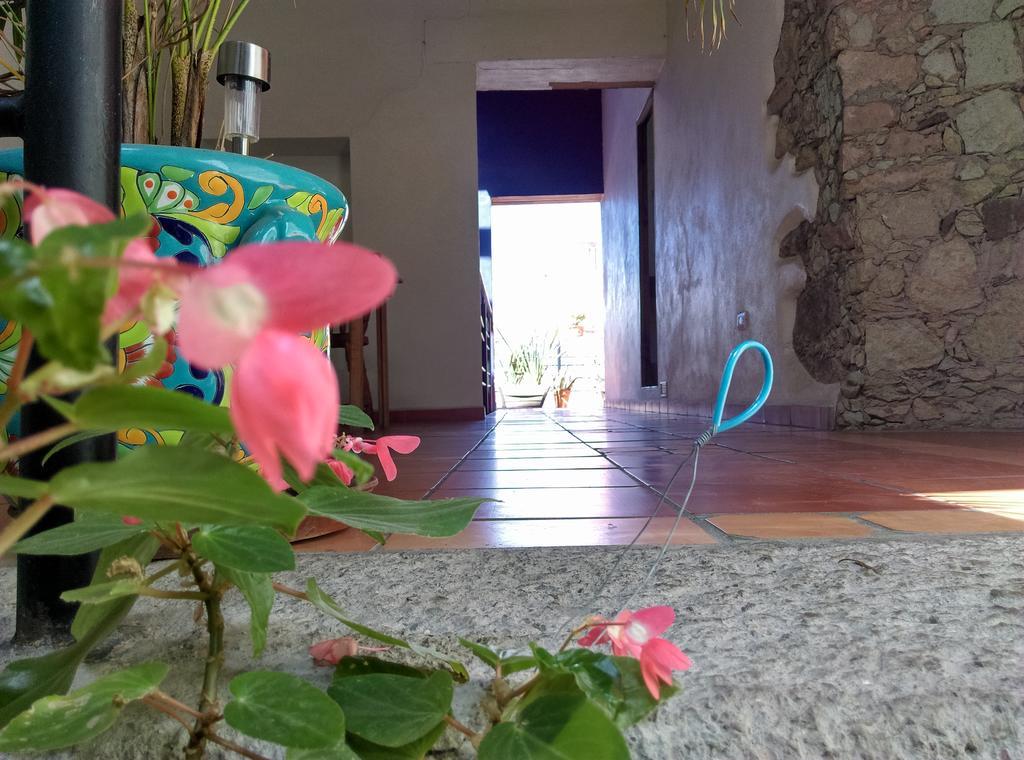 La Fuente Guanajuato Bed & Breakfast Exterior foto